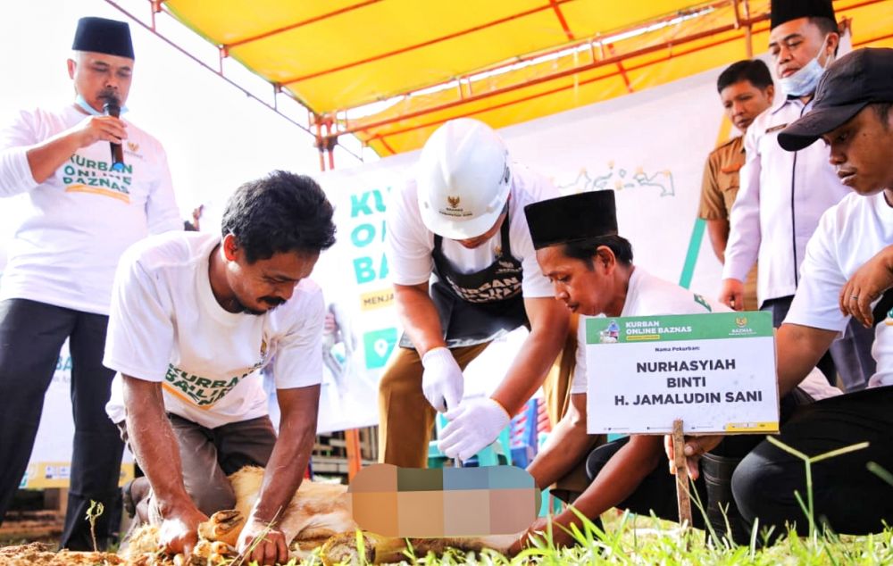 Baznas Pusat Salurkan 100 Ekor Domba untuk Kabupaten Siak