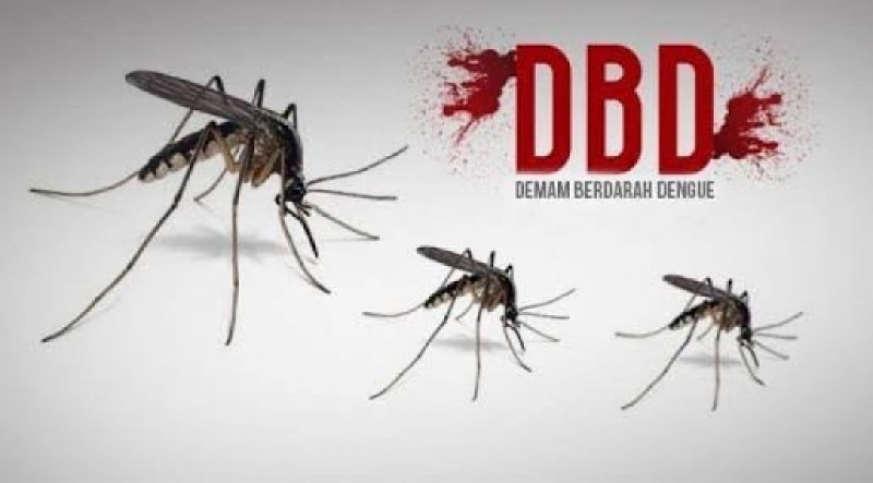 Selama Tahun 2018, Di Riau Ada 925 Kasus DBD