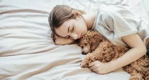 Tidur Bersama Anjing Bisa Cegah Mimpi Buruk