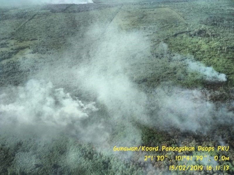 9.094,75 Hektare Lahan Terbakar di Provinsi Riau Sejak Januari 2019
