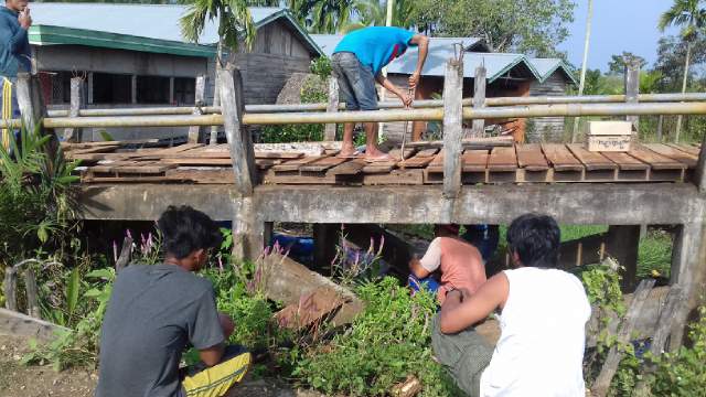 Masyarakat Parit Jamrah Gotong Royong Perbaikan Jembatan