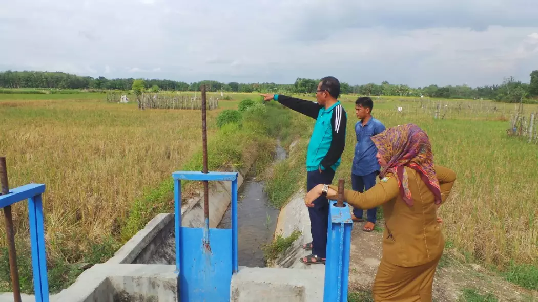 Saluran Irigasi Desa Binuang Kampar Kurang Terurus