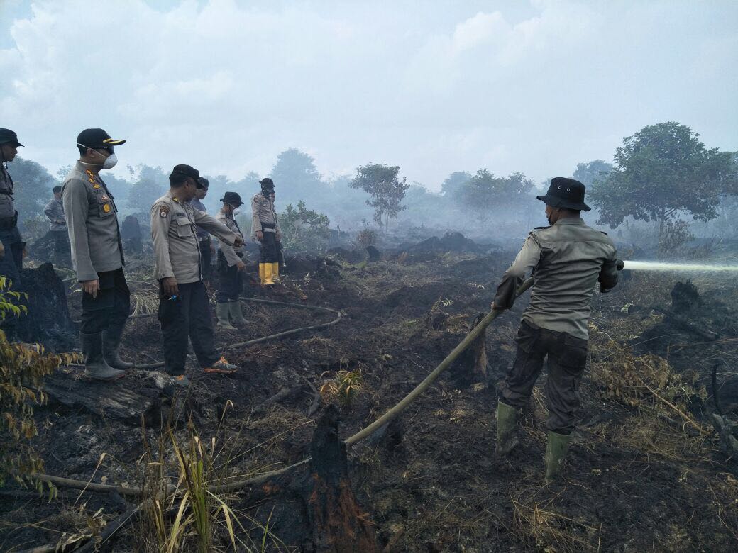 Diperkirakan 10 Hektar Lahan di Areal PT RUJ Rohil Terbakar