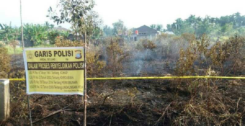 Hujan Bantu Kurangi Titik Api di Riau