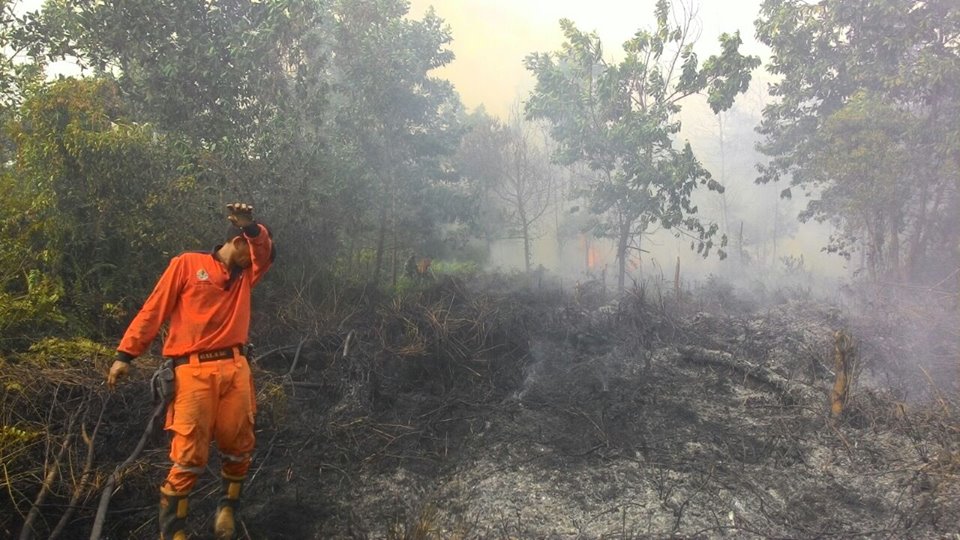 Polda Riau akan Tetapkan 95 Tersangka Karhutla