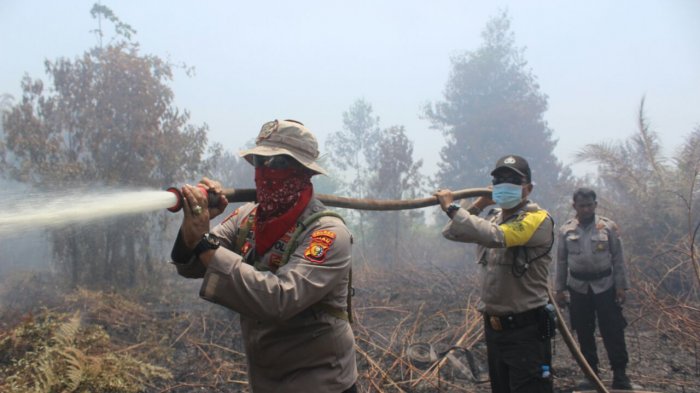 Inhil Lebih Dulu, Riau Segera Tetapkan Status Siaga Darurat Karhutla
