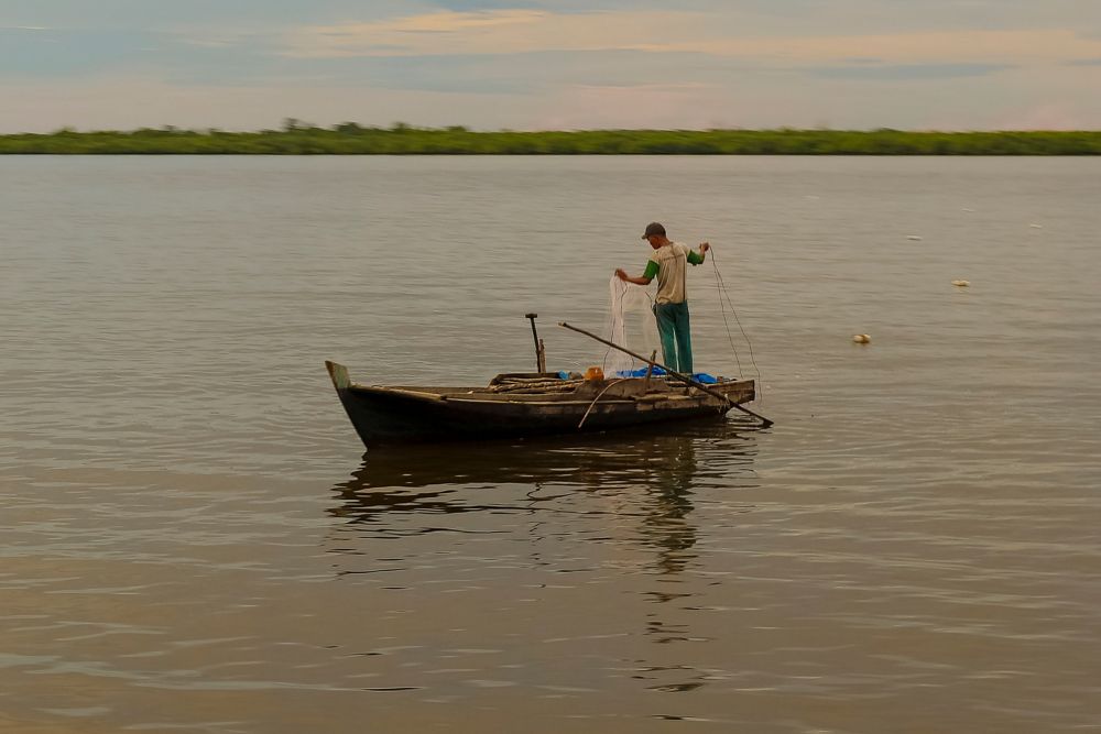 Produk Perikanan Indonesia Tembus ke-138 Negara