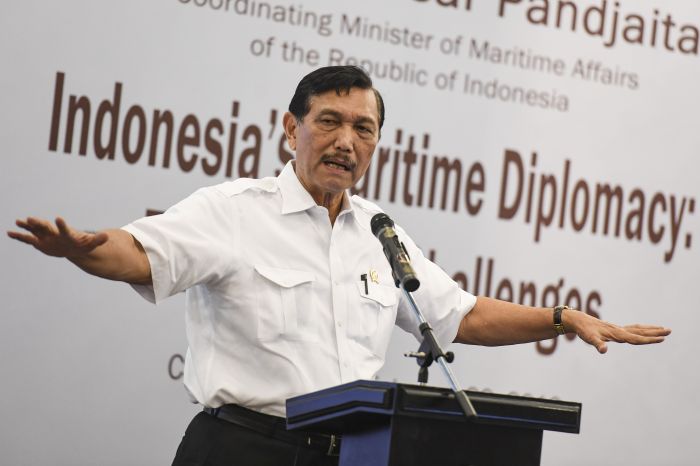 Soal WNI Masuk RI, Luhut Binsar: Gak Ngerti Masalah Jangan Asal Ngomong