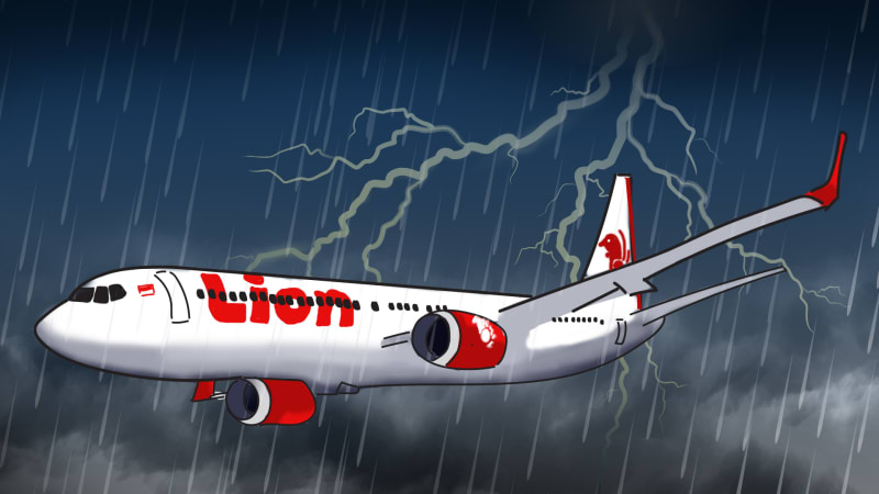 Tolak Acara Tabur Bunga, Keluarga Korban Lion Air: Lebih Baik Fokus Pencarian Dulu