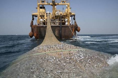 Tangkap Ikan Gunakan Trawl, Polres Inhil Amankan Warga Jambi