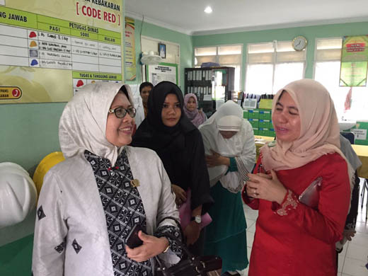 Ketua DPRD Riau Jemput Pasien RSJ Tampan Asal Tembilahan