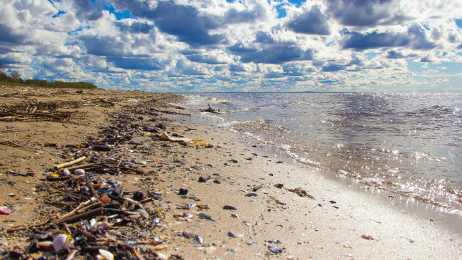 Tiap Tahun, 17,6 Miliar Ton Sampah Plastik Dibuang ke Laut
