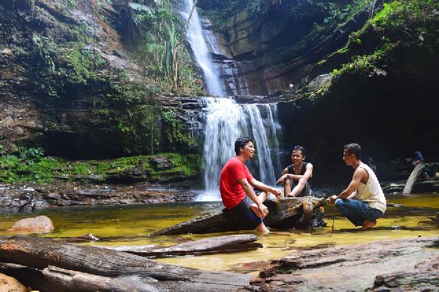 Objek Wisata di Rohul Akan Dijadikan Destinasi Hutan Tropis Wisata
