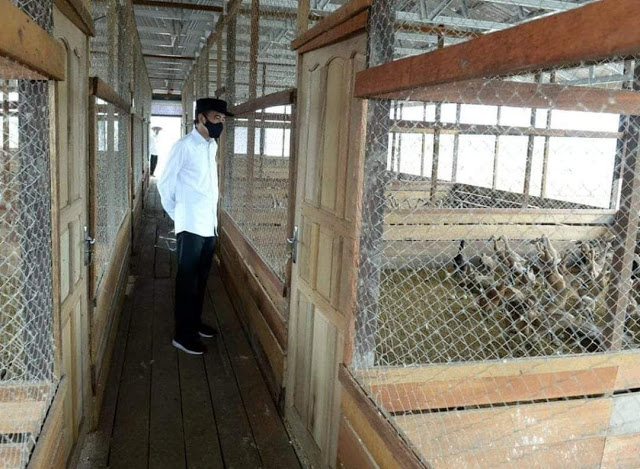 Tengku Zul: Seharusnya Bertemu Rakyat, Bukan Malah Kunjungi Bebek