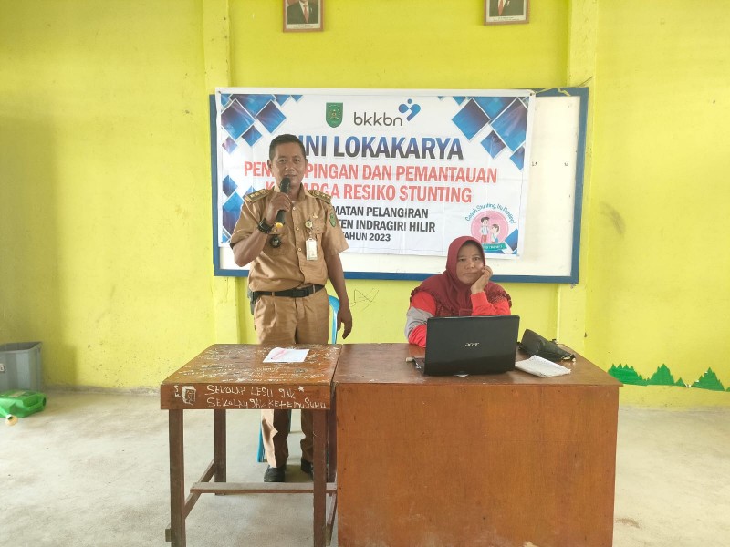 Dinas P2KBP3A Inhil laksanakan Mini Lokakarya Kecamatan Pelangiran