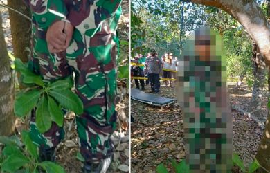 Anggota TNI Digantung di Pohon Jambu, Tangan Terikat