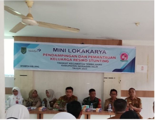 Berikut Penjelasan Pentingnya Mini Lokakarya Kecamatan Se-Inhil yang Ditaja DP2KBP3A Inhil