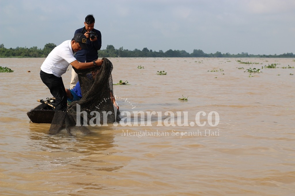 Panen Hasil Laut di Desa Pulau Palas, Kecamatan Tembilahan Hulu