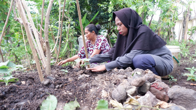 Kampung Hijau Pertamina Sukses Buat Para Ibu Kelurahan Akehuda Semakin Berdaya