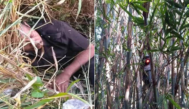 Orderan Mistis Motor Driver Ojol Nyangkut di Pohon Bambu Bikin Viral