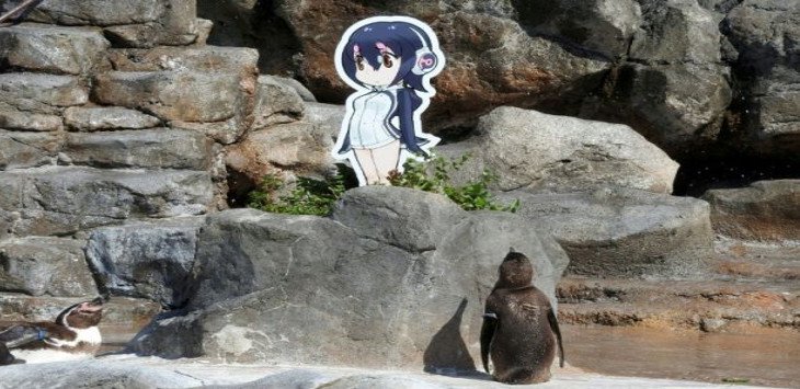 Seekor Penguin Mati Setelah Jatuh Cinta dengan Tokoh Anime “Holulu”