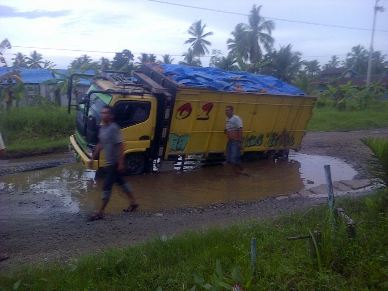 Astagaaa... 'Buaya Telan' Colt Diesel Bermuatan Kelapa