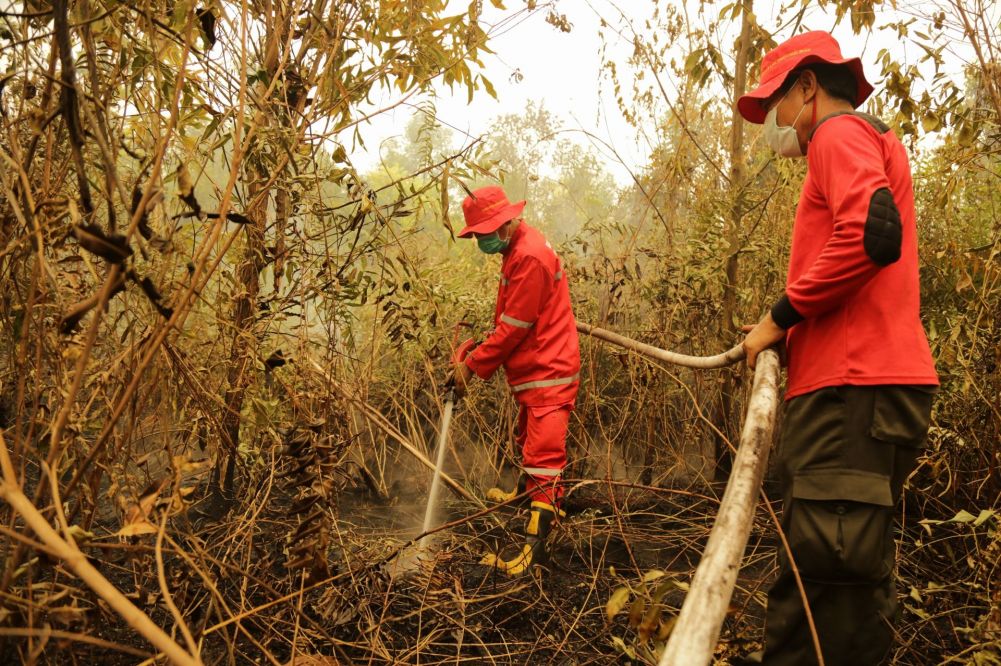 BBKSDA Riau Ajak Masyarakat Berhenti Bakar Hutan dan Lahan
