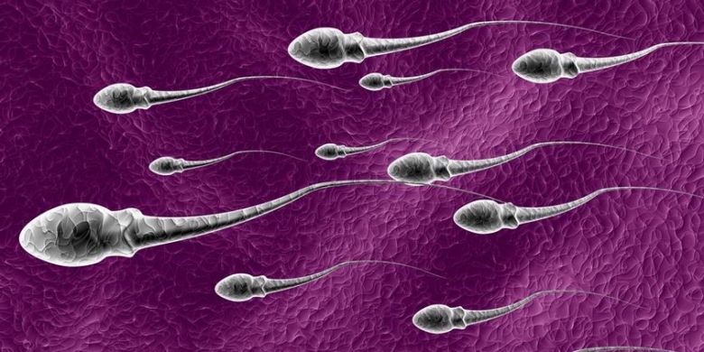 36 Anak Lahir dari Ayah Sakit Jiwa, Akibat Donor Sperma