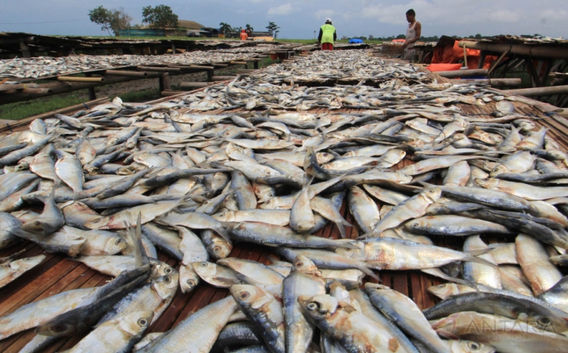 Disperindag Siak Klaim Harga Ikan Asin Di Pasaran Masih Normal