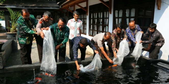 Bahan Haram Jadi Pakan Ikan, Bolehkah?