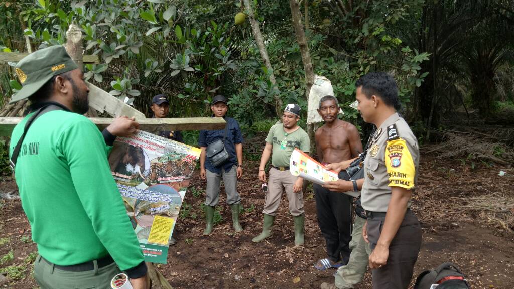 BKSDA dan WWF Telusuri Jejak Harimau Sumatra di Inhil
