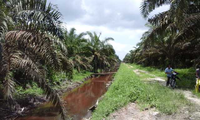 Alih Fungsi, BLH  Bentuk Tim dan Tinjau ke Lapangan
