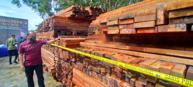 Oknum Polisi Jadi Otak Pembalakan Liar Ribuan Kayu
