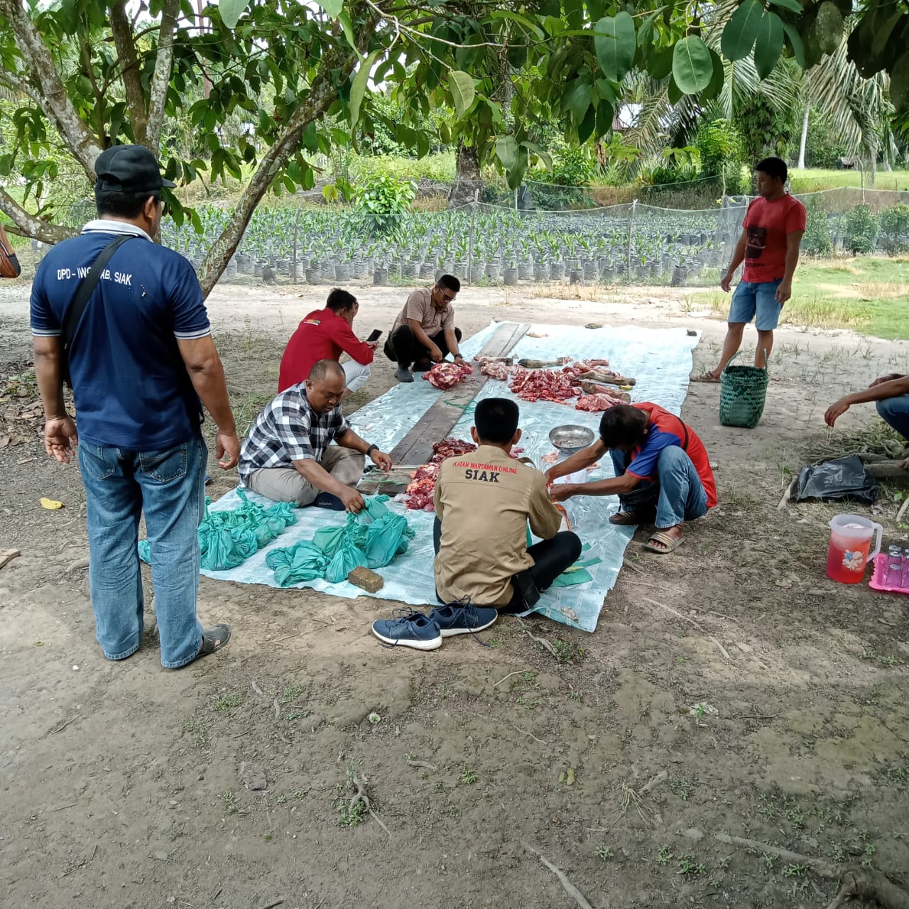 PD IWO Siak Sembelih 1 Ekor Sapi di Kampung Buantan Besar