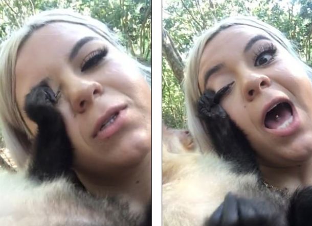 Wadaw! Selfie Dengan Monyet, Bulu Mata Palsu Wanita ini Ditarik