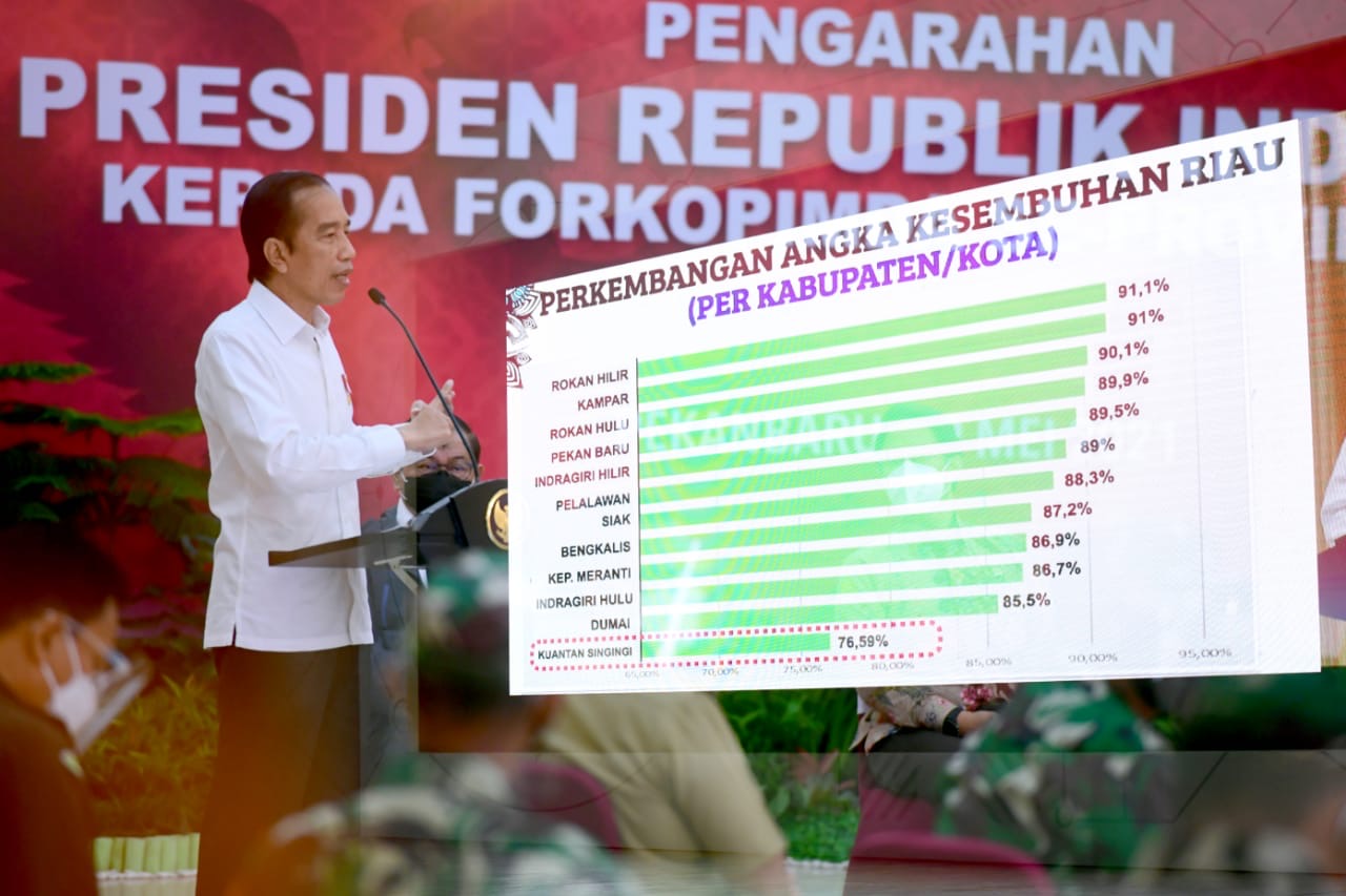 Presiden Jokowi Dorong Kerja Sama Daerah untuk Bersama Tangani Pandemi Covid-19