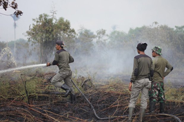 100 Hektare Lahan di Kepulauan Meranti Terbakar