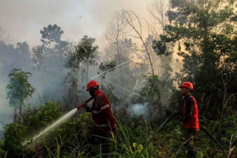 15 Hektare Lahan Gambut Pinggiran Kota Pekanbaru Terbakar