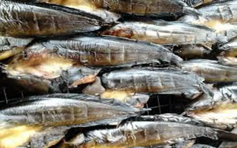 Mau Beli Ikan Selais Sebagai Oleh-Oleh dari Riau, Simak Dulu Tipsnya