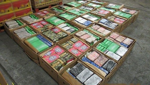 Polisi Amankan 1 Ton Narkoba Dikirim dalam Kontainer Berisi Pisang