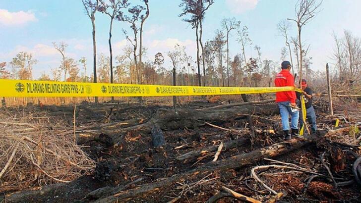 2016, Lahan Terbakar di Riau 10.676 Hektare