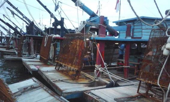 Nelayan Tanjung Balai Jarah Potensi Kerang di Rohil