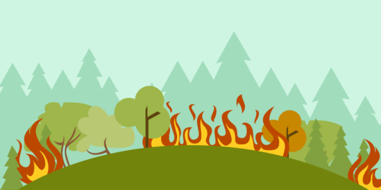 335,95 Hektare Lahan Riau Terbakar