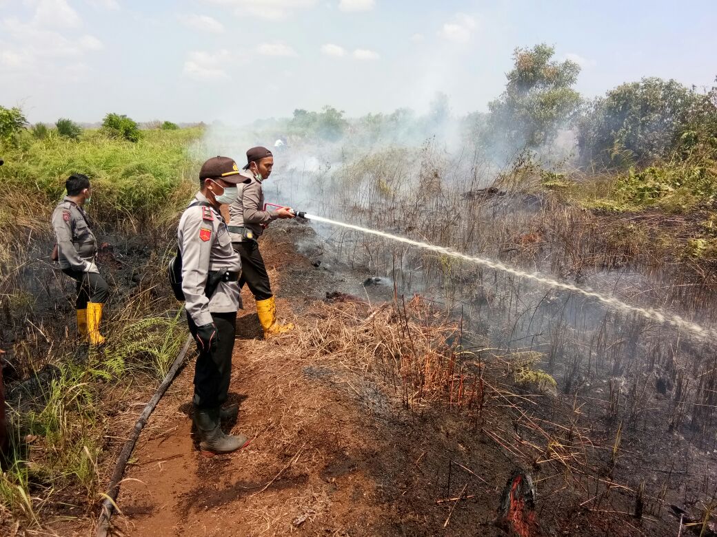 1 Hektar Lahan Gambut di Rohil Terbakar