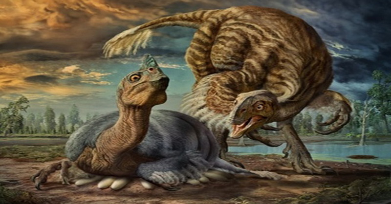 Ilmuwan Temukan Dinosaurus Raksasa Menyerupai Burung