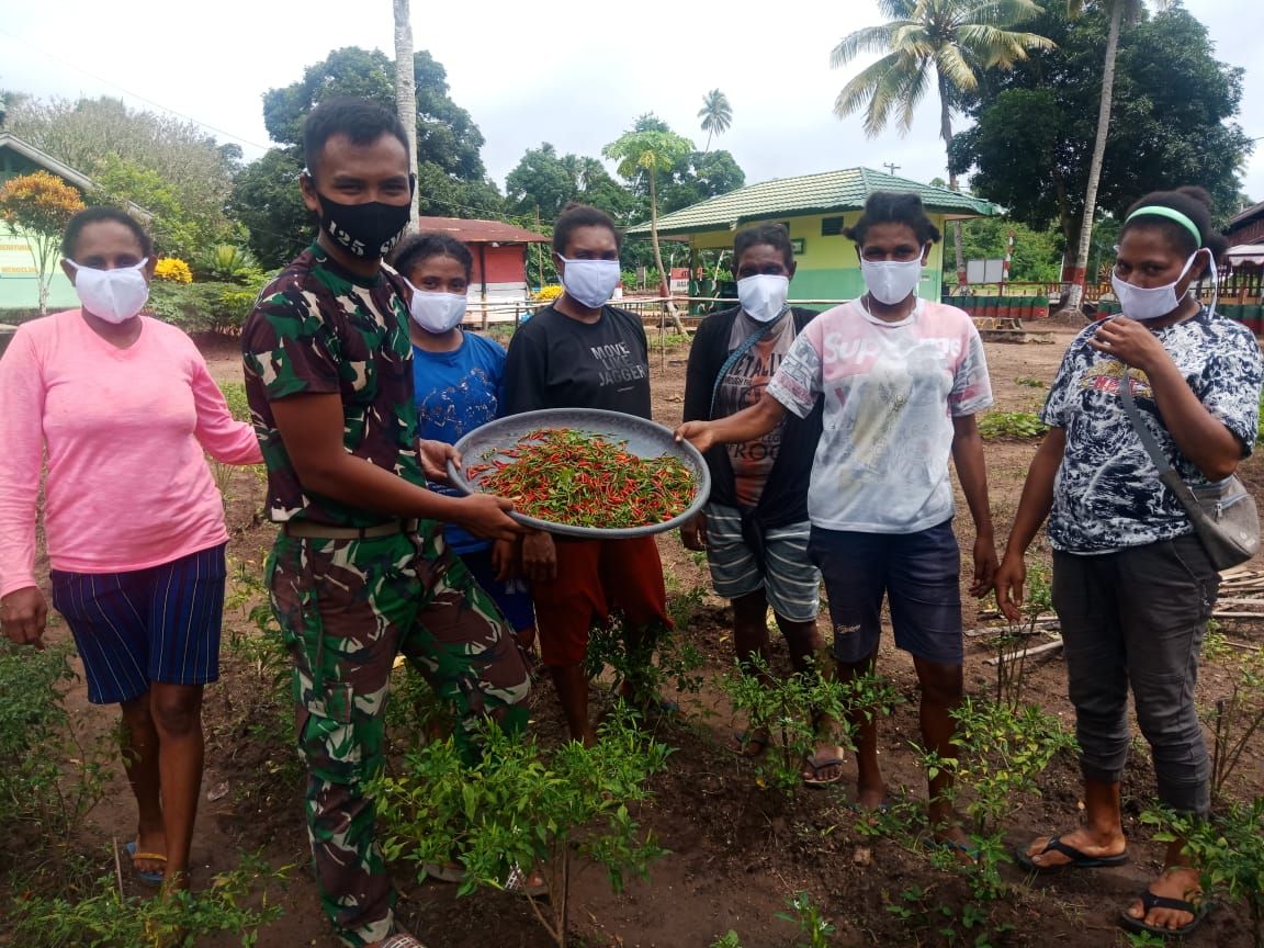 Kompak, Personel Satgas Yonif 125/Simbisa Panen Cabai Bersama Warga Perbatasan
