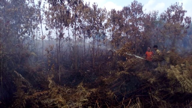 Karlahut Terus Terjadi, Akibatnya Satgas Riau Tidak Bisa Libur Lebaran