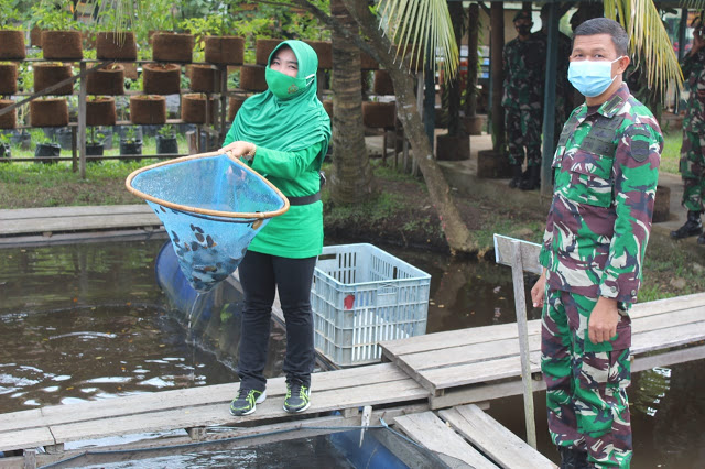 PT PJB PLTU Tembilahan Panen Lele Budidaya Keramba Apung di Makodim 0314/Inhil
