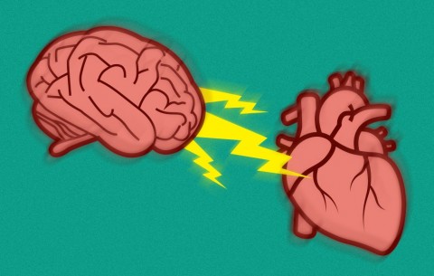 Stres Terbukti Dapat Memicu Serangan Jantung dan Stroke