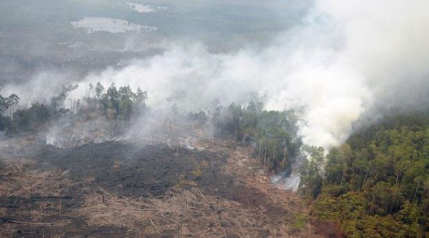 11 Titik Api Terpantau di Kabupaten Inhil